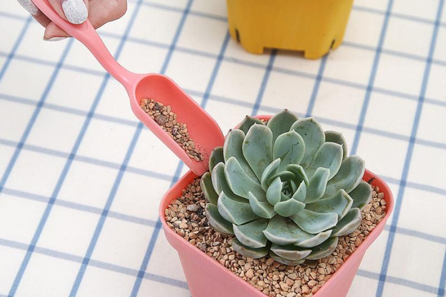 4-Piece Garden Planting Kit