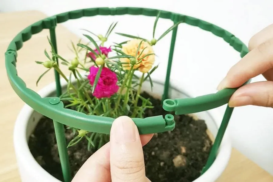 gardening gift ideas