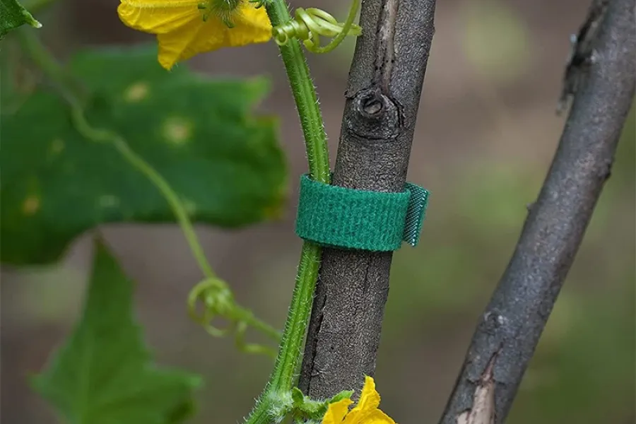 gardening gift ideas