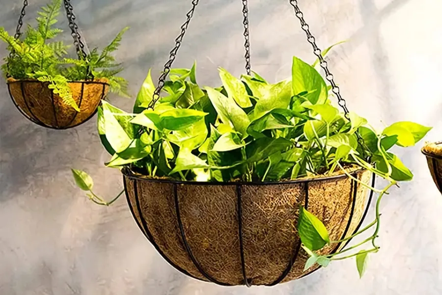 gardening gift ideas