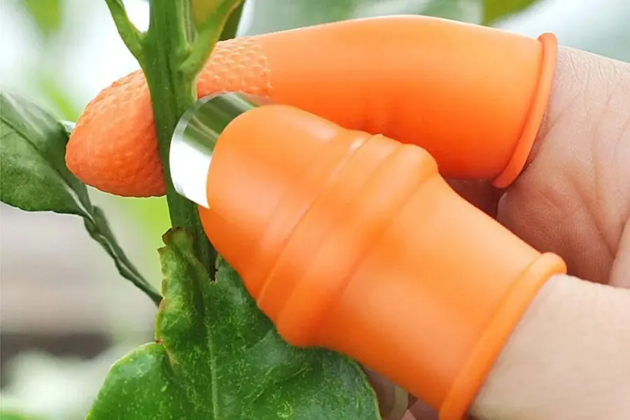 gardening gift ideas