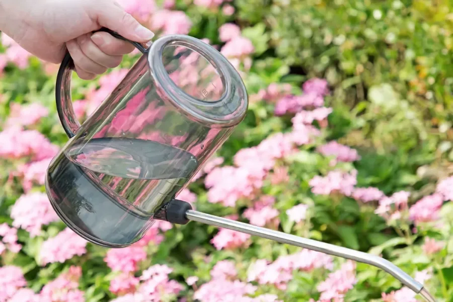 gardening gift ideas