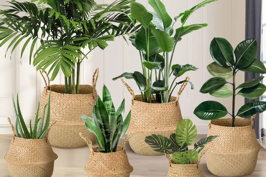 Best gifts for new home owners