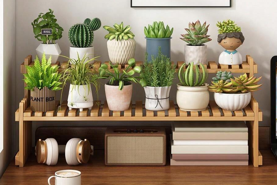 Best gifts for new home owners