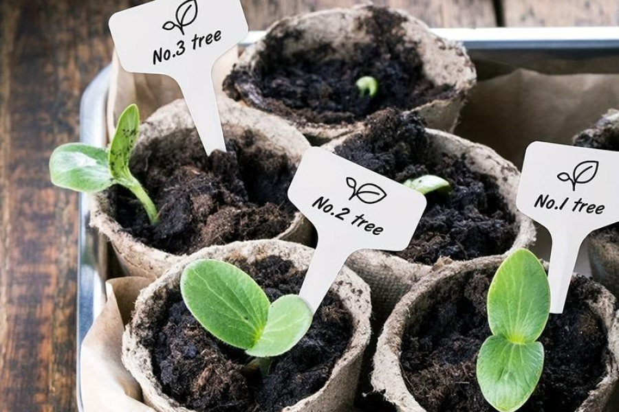 gardening gift ideas