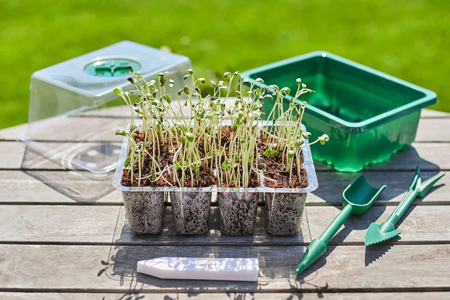 gardening gift ideas