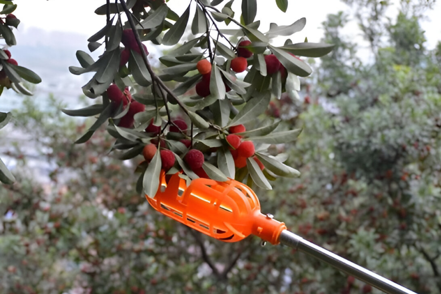 gardening gift ideas