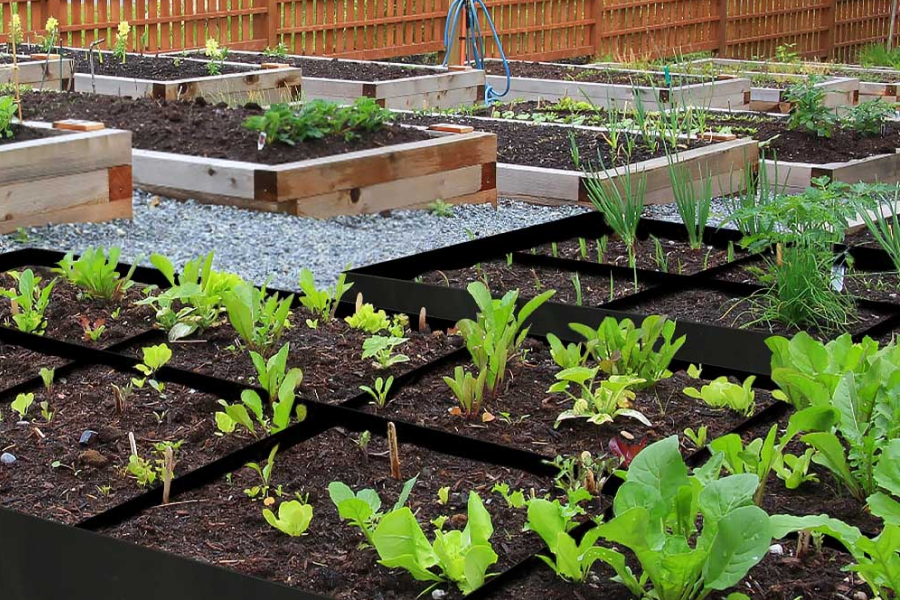 gardening gift ideas