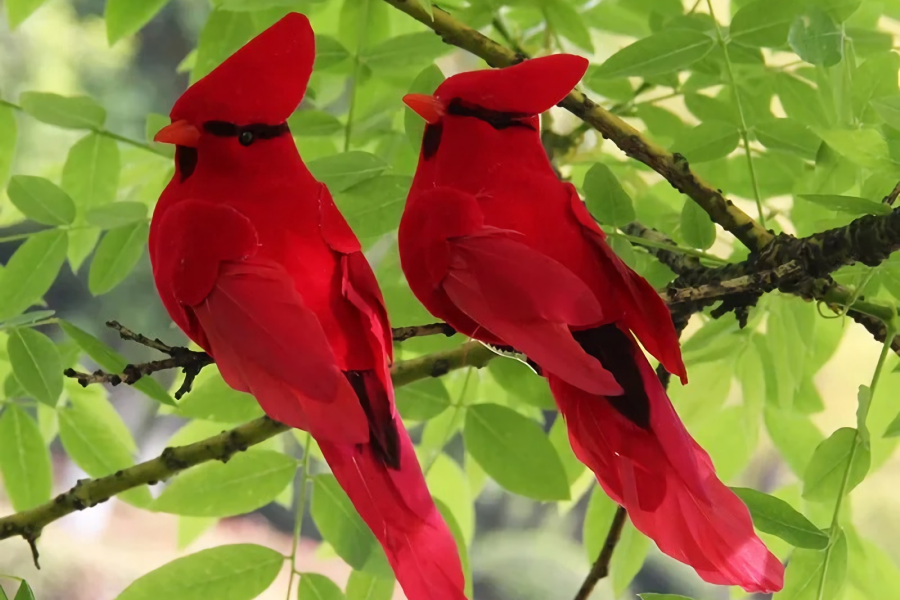 Simulation Feather Birds