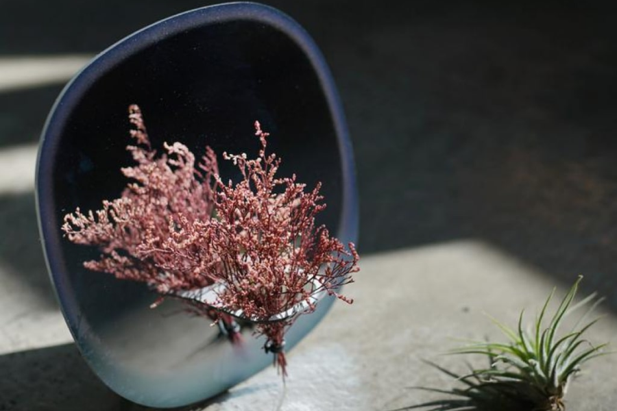 Square Blue Plant Mirror